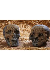 Полу череп покрытый мхом