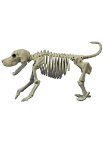 Бутафория скелет Собаки