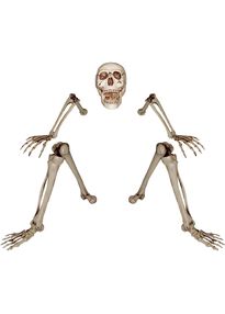 Декорация скелета череп и конечности