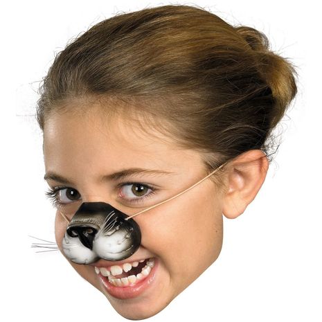 Нос кота