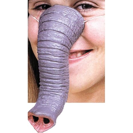 Нос слона